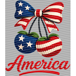 USA-MG 3779